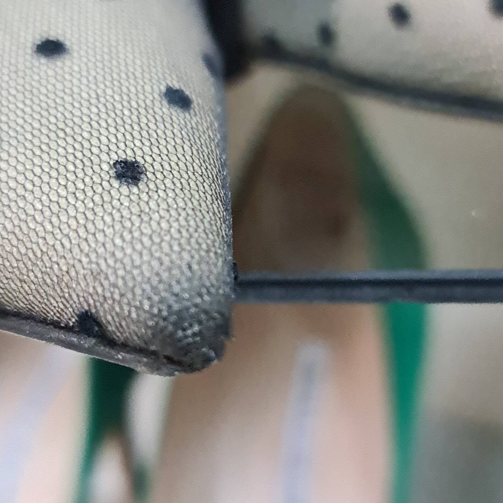 Christian Dior Black Mesh Suede D Polka Dot Pumps sz.38