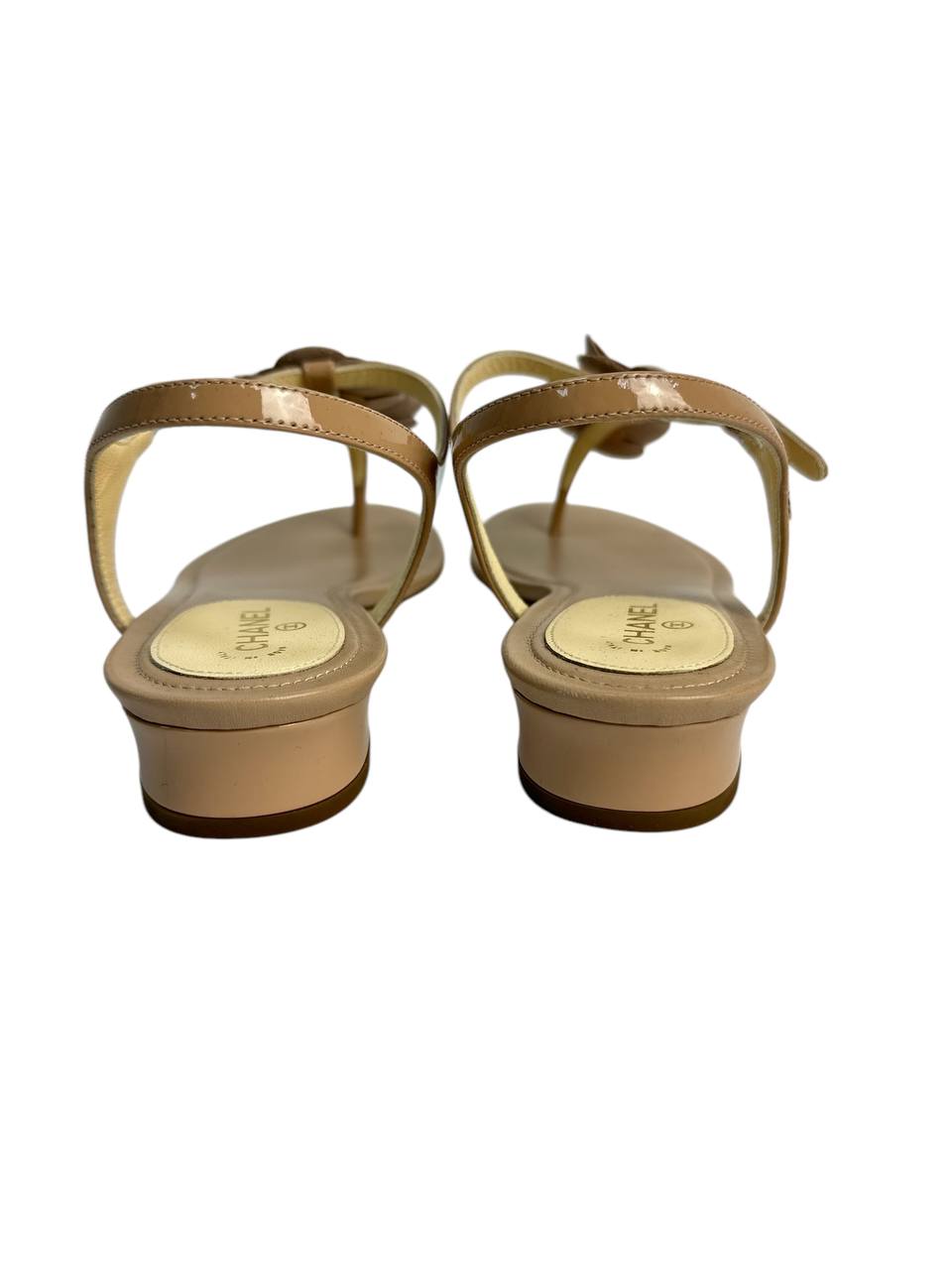 Camellia, pearl and everyday ease