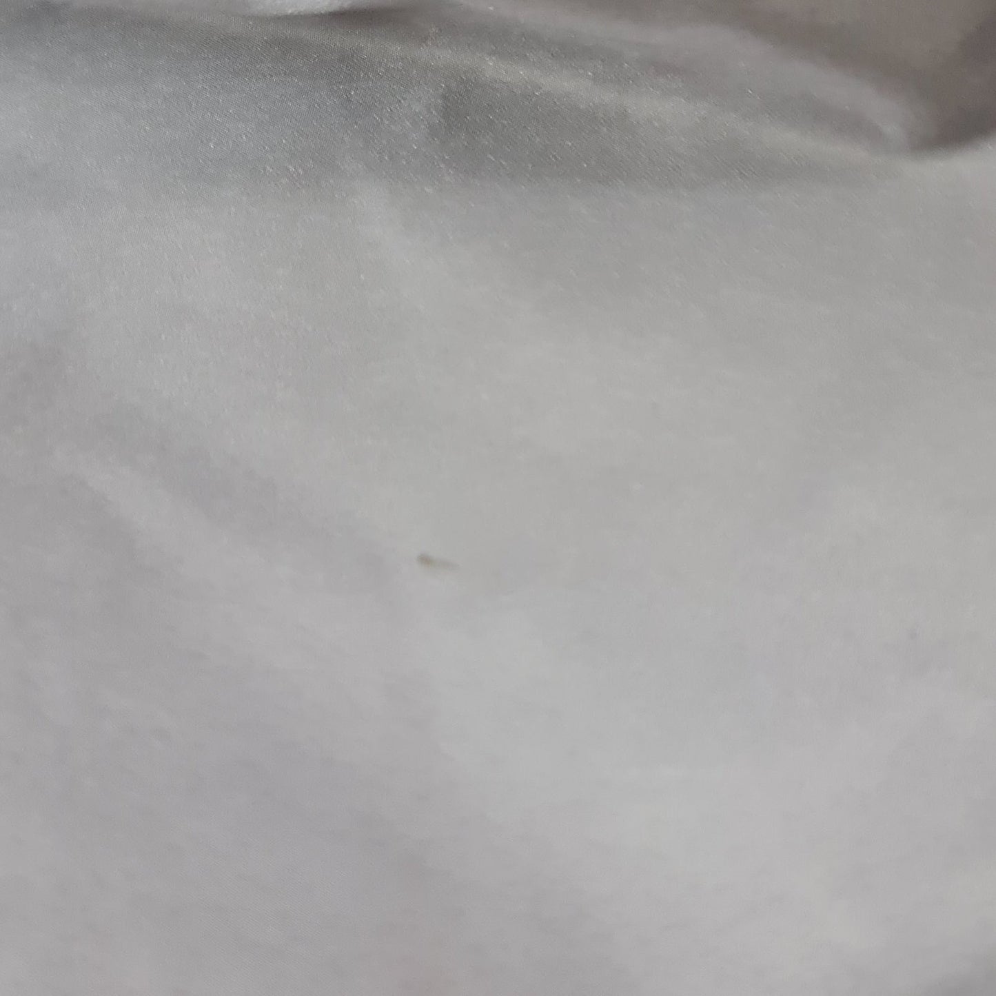 Chanel Gray Silk Knee Length Skirt Sz.38 Pre-owned